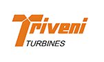triveni